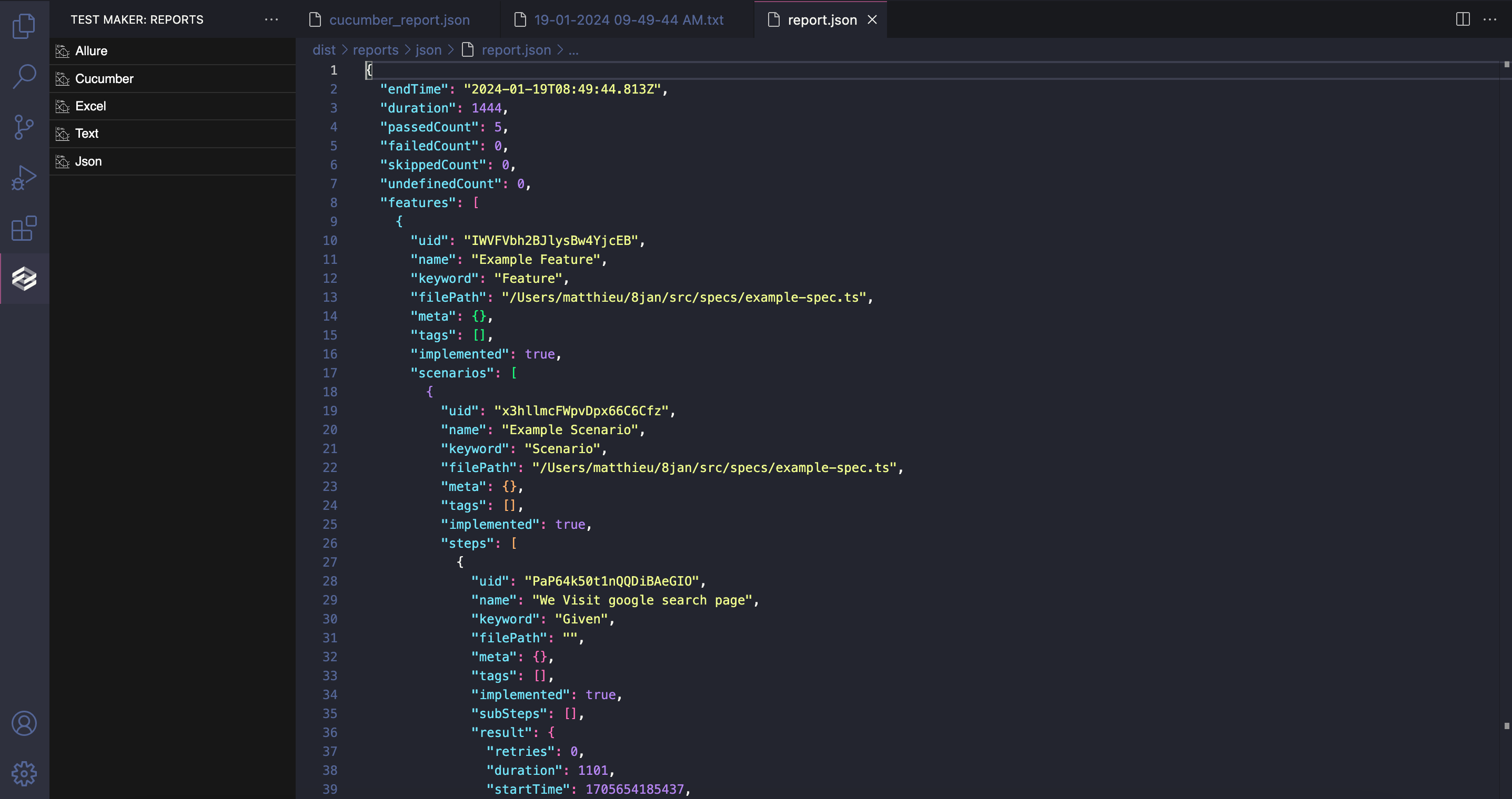 VSE_reports-json