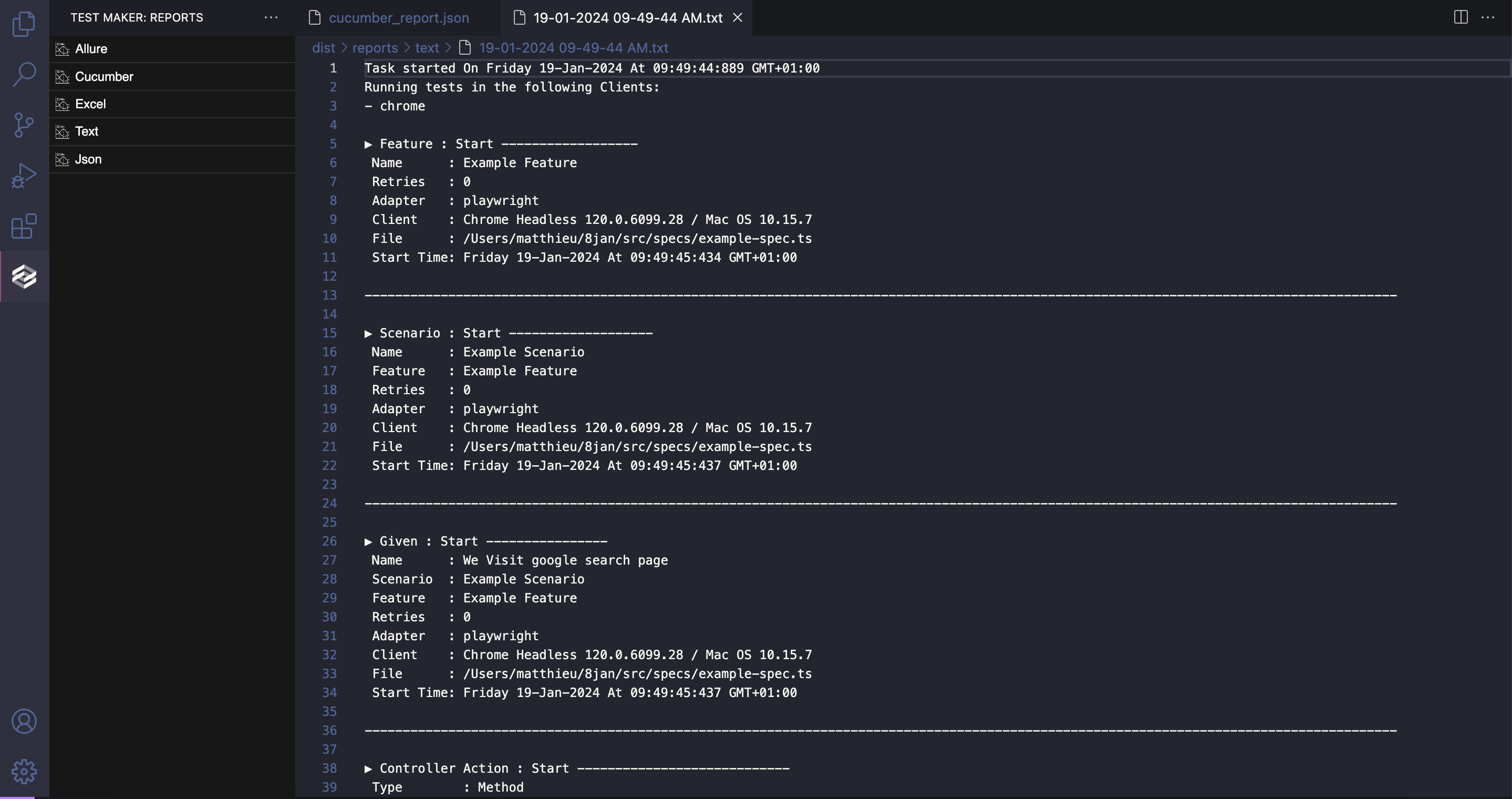 VSE_reports-text